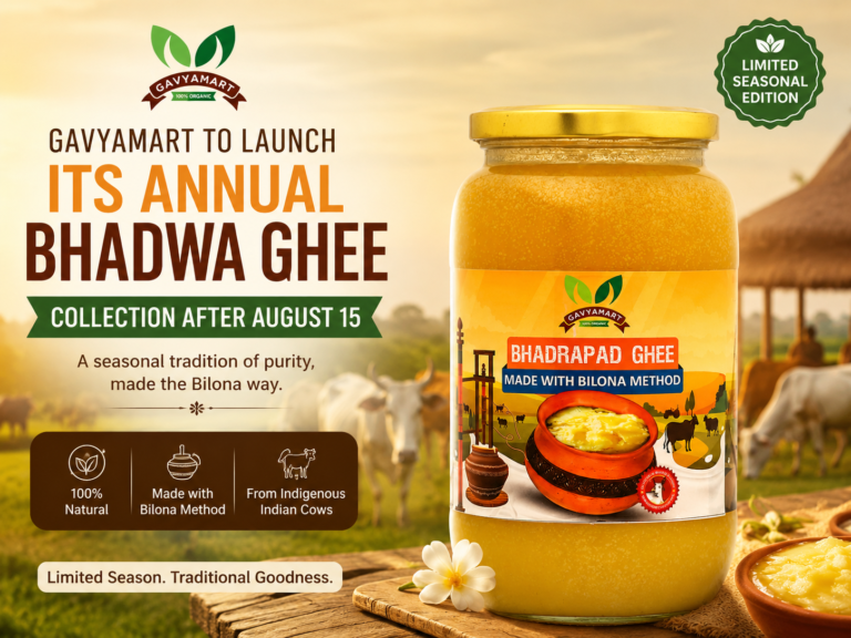 Seasonal Wellness Product Returns: Gavyamart Announces Bhadwa Ghee Sales